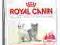Royal Canin Kitten36 400g  POMÓŻ  rottka.pl