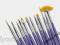 Zestaw PĘDZELKI DO ZDOBIEŃ 12szt ŻEL AKRYL TIPS