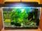 Zestaw akwarium 44l. filtr grzalka rybki