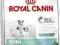ROYAL MINI STARTER 1 KG PROMOCJA,TYLKO 22,50 zł!!!