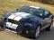 FORD MUSTANG GT SHELBY STYLE 2010 r.4,6v8 w KRAJU