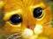 Kot w Butach - Koty Kotki RÓŻNE plakaty 91,5x61 cm