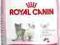 Royal Canin Kitten 36 10kg+2 myszki gratis