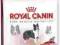 ROYAL CANIN Medium Sensible 4kg sucha karma