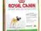 ROYAL CANIN PUG 25 MOPS karma 1kg