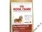 Royal Canin Dachshund 28 Adult - 0,5 kg Jamnik