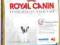 Royal Canin French Bulldog 30 Junior - 4kg