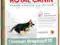 ROYAL CANIN GERMAN SHEPHERD JUNIOR 3 KG 3KG