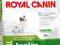 ROYAL CANIN X-SMALL JUNIOR 14KG + GRATIS