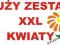 Naklejka naklejki duży zestaw kwiaty KWIAT XXL 252