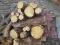 Drewno kominkowe - suche świerkowe (suchary),