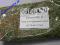 OREGANO 40 GRAM; herbata-ziola_pl GRATISY