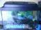 Akwarium 25l+pokrywa+GRATISY