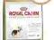 Royal Canin Yorkshire Terrier Junior 1,5kg York