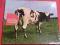 PINK FLOYD - Atom Heart Mother /remaster 2011