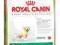 Royal Canin, Golden Retriever  JUNIOR - 12kg.