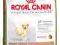 Royal Canin, Labrador junior - 12kg. Warszawa.