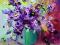 fiołki  bukiecikolej 18 X 24,  M.J.Setkowicz