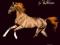 KALENDARZ 2012 - Magic of Horses - KON - KONIE
