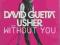 David Guetta Feat. Usher : Without You
