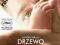 DRZEWO ŻYCIA  [ 2011 ] LEKTOR  [ BRAD PITT ]