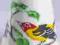 Pickard China Western Tanager-por.nap. USA TCC