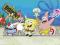 SpongeBob Kanciastoporty RÓŻNE plakaty 91,5x61 cm