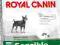 ROYAL CANIN MINI SENSIBLE - 10kg, EDUC - GRATIS !!