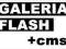 Galeria zdjęć FLASH (4 WZORY)+CMS +domena + host