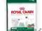 ROYAL CANIN Mini Mature 8 kg POMÓŻ rottka.pl