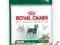 ROYAL CANIN Mini Sensible 500g POMÓŻ rottka.pl
