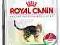 Royal Canin Outdoor Mature28 2kg  POMÓŻ  rottka.pl