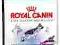 ROYAL CANIN Maxi Adult26 10 kg POMÓŻ rottka.pl