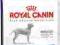 ROYAL CANIN Maxi Dermacomfort25 12 kg rottka.pl