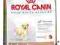 ROYAL CANINGolden Retriever29 JUNIOR 1kg rottka.pl