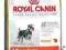 ROYAL Miniature Schnauzer25 ADULT 6.5kg  rottka.pl