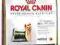 ROYAL Yorkshire Terrier28 ADULT 500g od rottka.pl