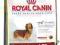 ROYAL CANIN Dachshund28 ADULT 500g POMÓŻ rottka.pl