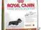ROYAL CANIN Dachshund30 JUNIOR 1.5kgPOMÓŻrottka.pl
