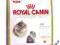 Royal Canin Kitten Persian32 400g POMÓŻ  rottka.pl