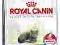 Royal Canin Indoor Mature27 3,5kg POMÓŻ  rottka.pl