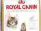 Royal Canin Kitten Maine Coon36 10 kg   rottka.pl