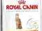 Royal  Exigent42 Protein preference 2kg rottka.pl