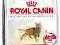 Royal Canin Fit32 10kg  POMÓŻ rottka.pl