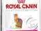 Exigent 35/30 Savour sensation 400g  rottka.pl