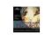 MUSICALE - BEAUTY AND THE BEAST (piękna i bestia) MUSICALE - BEAUTY AND THE BEAST (piękna i bestia)