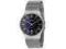 Skagen Meski Zegarek Titanium TYTAN 233XLTTM