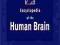 Encyclopedia of the Human Brain A-CogAcademicPress