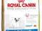 ROYAL FRENCH BULLDOG JUNIOR 8kg + EDUC + KURIER