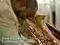 JAMES CARTER - CARIBBEAN RHAPSODY